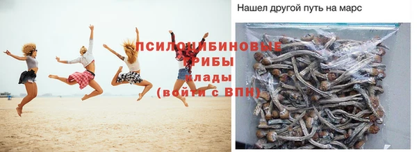 круглые Алексеевка